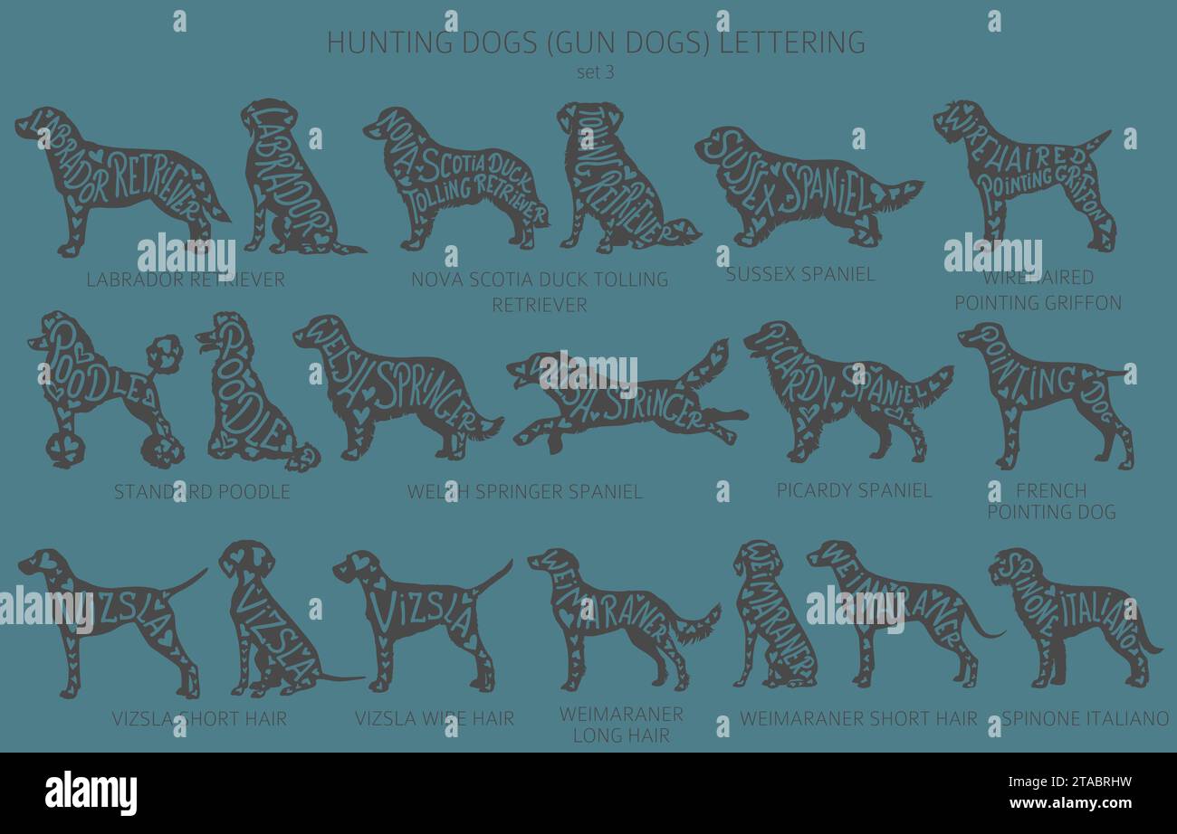 Chien élève des silhouettes avec lettrage, clipart de style simple. Chiens de chasse et collection Gun Dog. Illustration vectorielle Illustration de Vecteur
