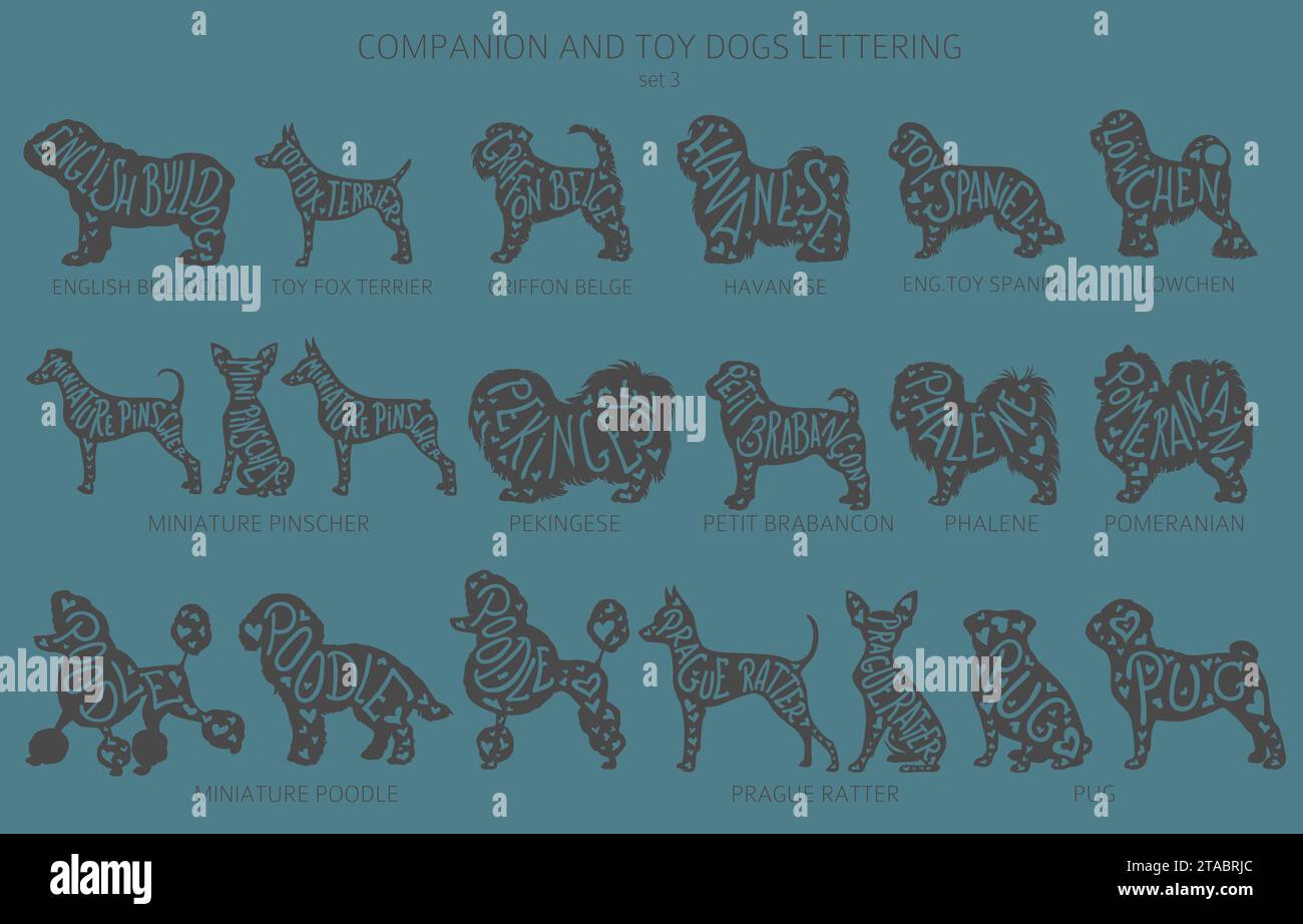 Chien élève des silhouettes avec lettrage, clipart de style simple. Collection de chiens de compagnie et de chiens jouets. Illustration vectorielle Illustration de Vecteur