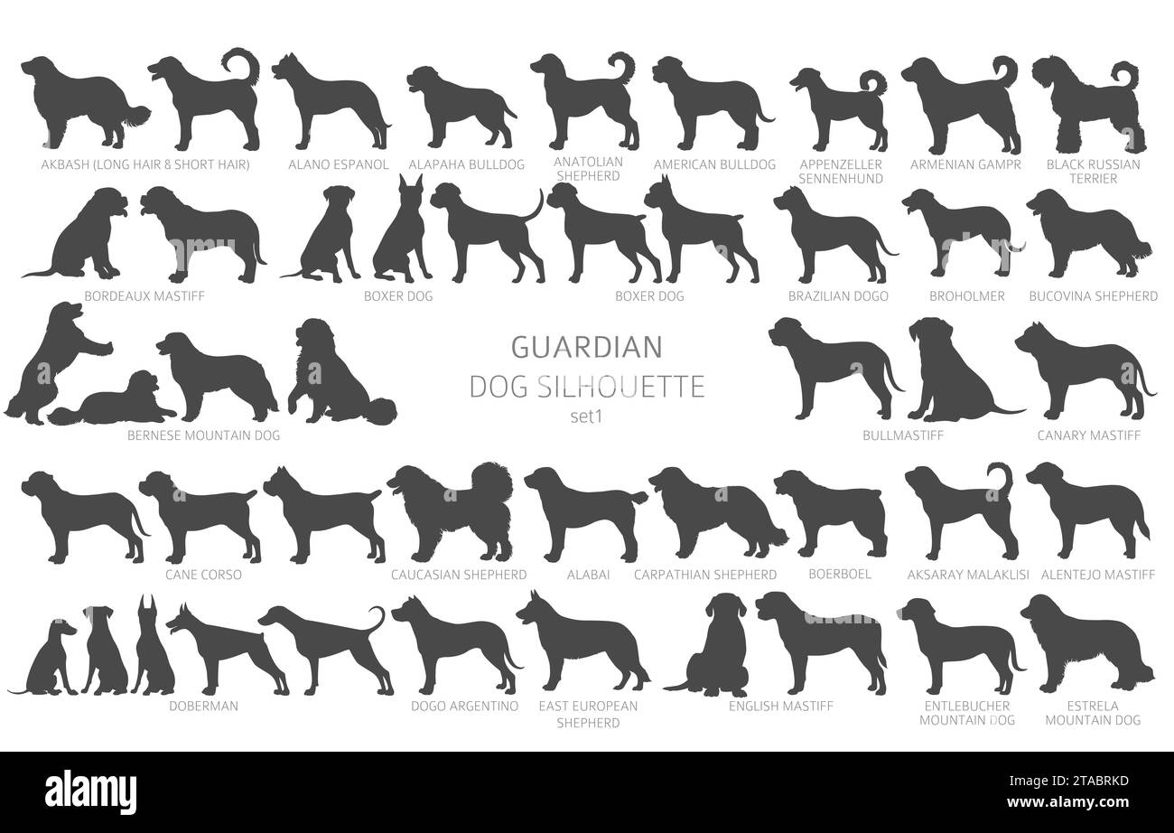 Chien race des silhouettes, clipart de style simple. Collection de chiens gardiens et de chiens d'assistance. Illustration vectorielle Illustration de Vecteur