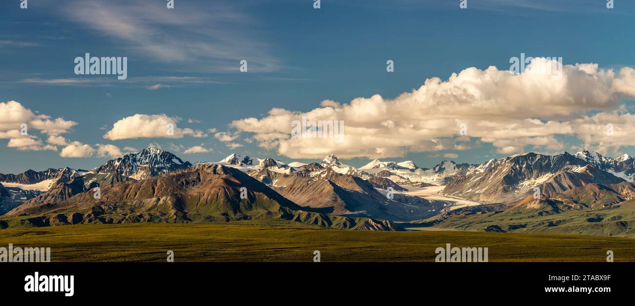 Vue du glacier Gulkana, chaîne de montagnes de l'est de l'Alaska, Alaska Banque D'Images