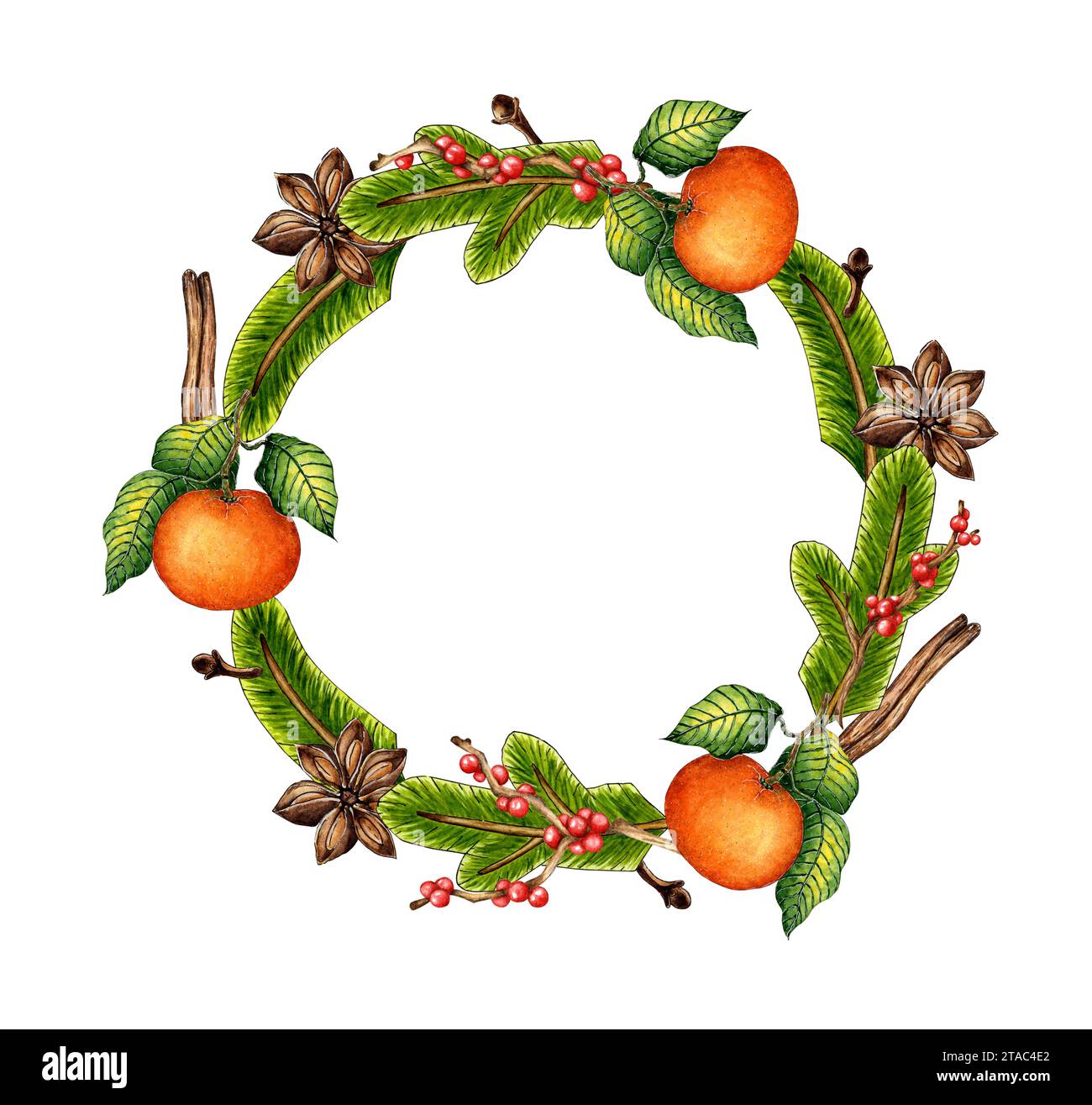 Illustration à l'aquarelle d'une couronne de Noël faite de branches de sapin, mandarines, cannelle, clous de girofle. Isolé sur fond blanc. Composition festive Banque D'Images