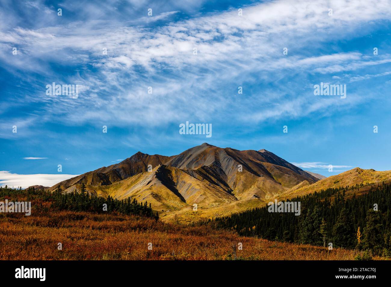 Vue sur la montagne, Denali National Park, Alaska Banque D'Images