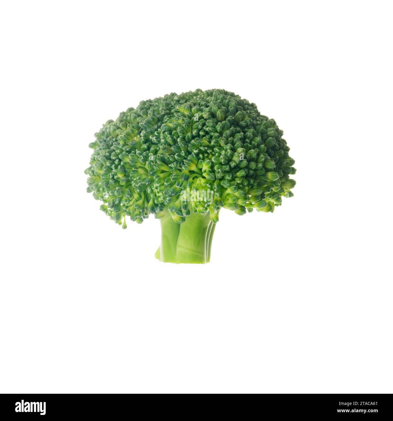 Blocs frais de brocoli pour la cuisson isolés sur fond blanc. Image carrée. Banque D'Images