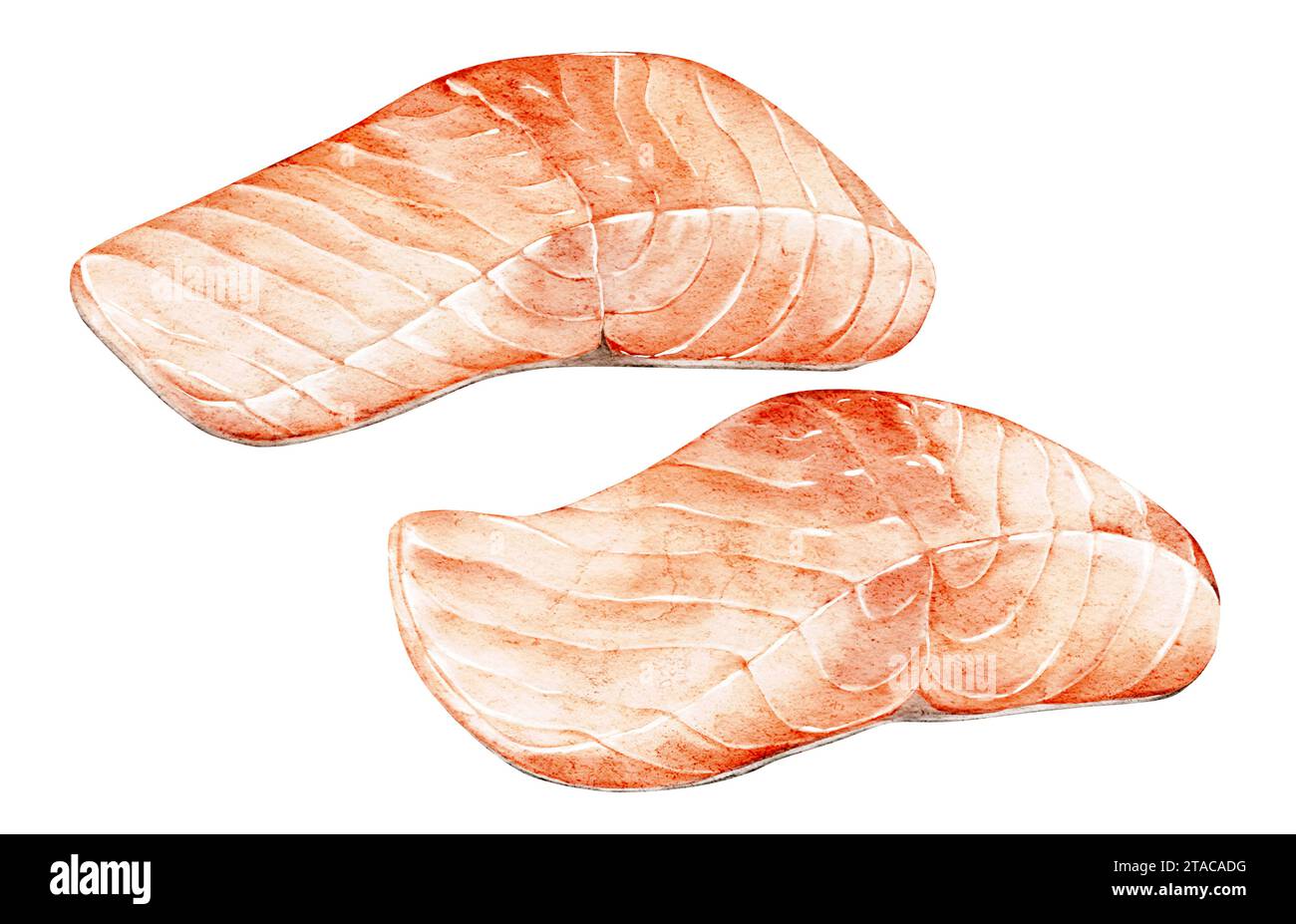 Steak de saumon frais à l'aquarelle. Couper du poisson. Illustration de nourriture dessinée à la main. Concept de mode de vie sain. Pour menu, livre de cuisine, emballage, enseigne, marché Banque D'Images