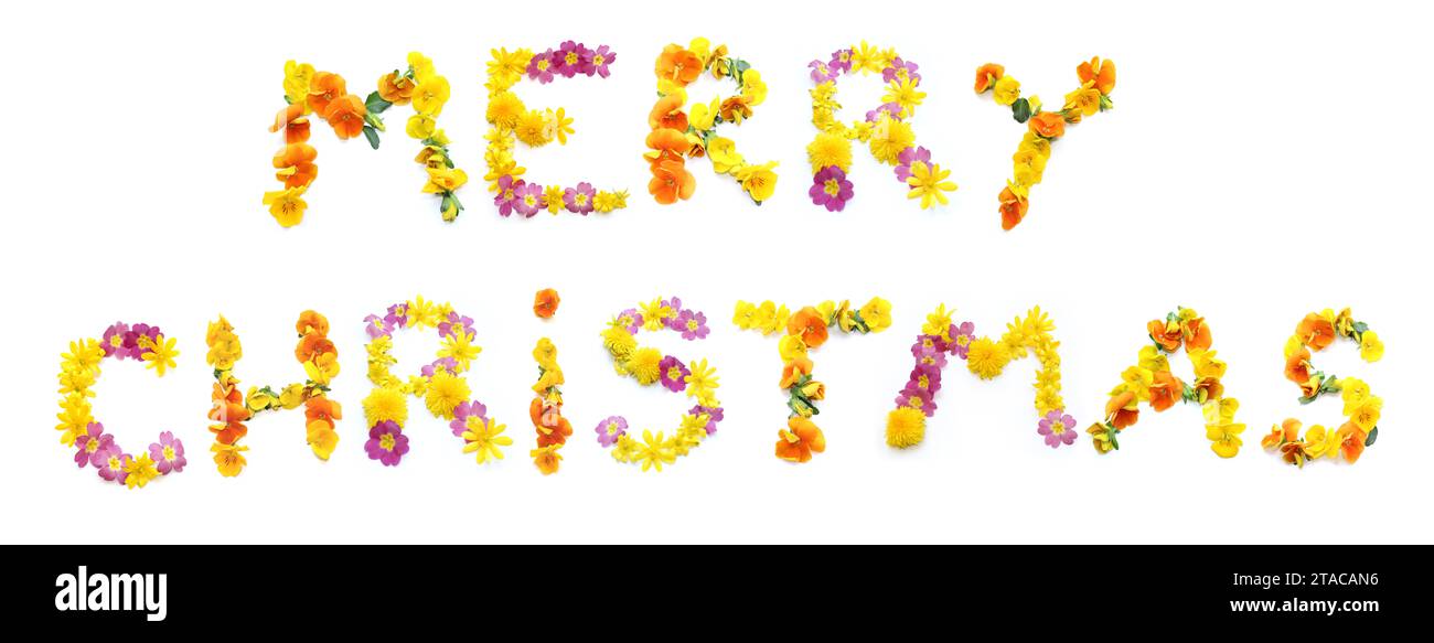 Le mot JOYEUX NOËL fait de fleurs jaune rose rouge orangé. Le lettrage peut être utilisé comme affiches pour les mariages, anniversaires, événements d'entreprise Banque D'Images