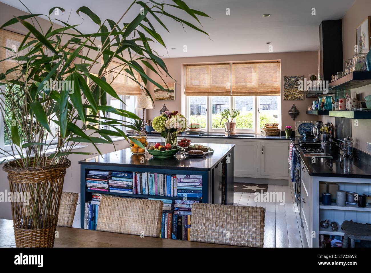 Livres dans la cuisine 'Setting Plaster' avec bambou dans la maison de style ATS et Crafts des années 1930. Hove, East Sussex, Royaume-Uni. Banque D'Images