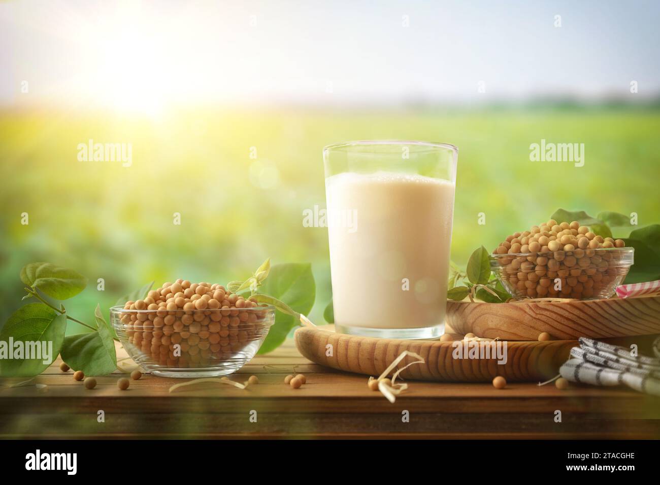 Verre de boisson de soja naturel sur la table en bois avec des bols pleins de graines dans le champ. Vue avant. Banque D'Images