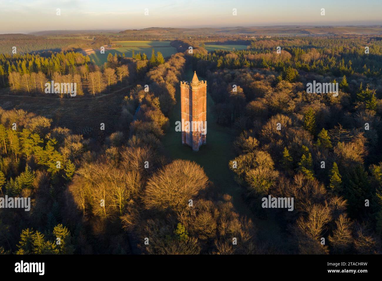 Vue aérienne de la Tour du Roi Alfred près de Stourhead, Somerset, Angleterre. Hiver (janvier) 2022. Banque D'Images