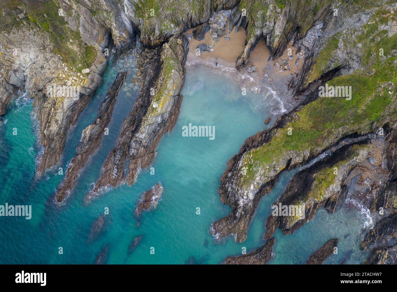 Vue aérienne de la géologie côtière à rame Head, Cornouailles, Angleterre. Hiver (janvier) 2022. Banque D'Images