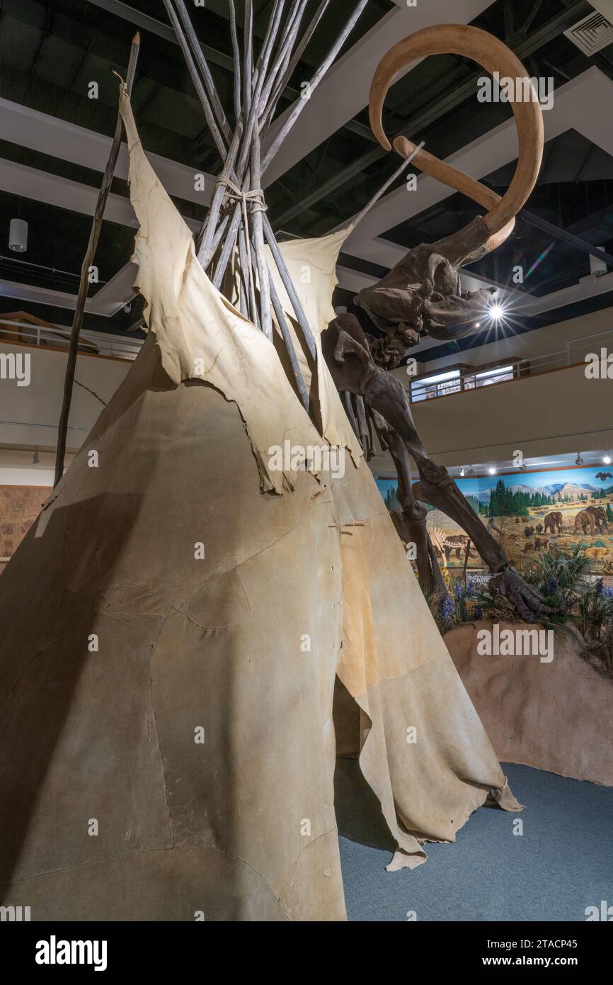 Un tipi amérindien fabriqué à partir de peaux d'animaux au musée préhistorique de l'est de l'USU à Price, Utah. Derrière est le squelette d'un mammath. Banque D'Images