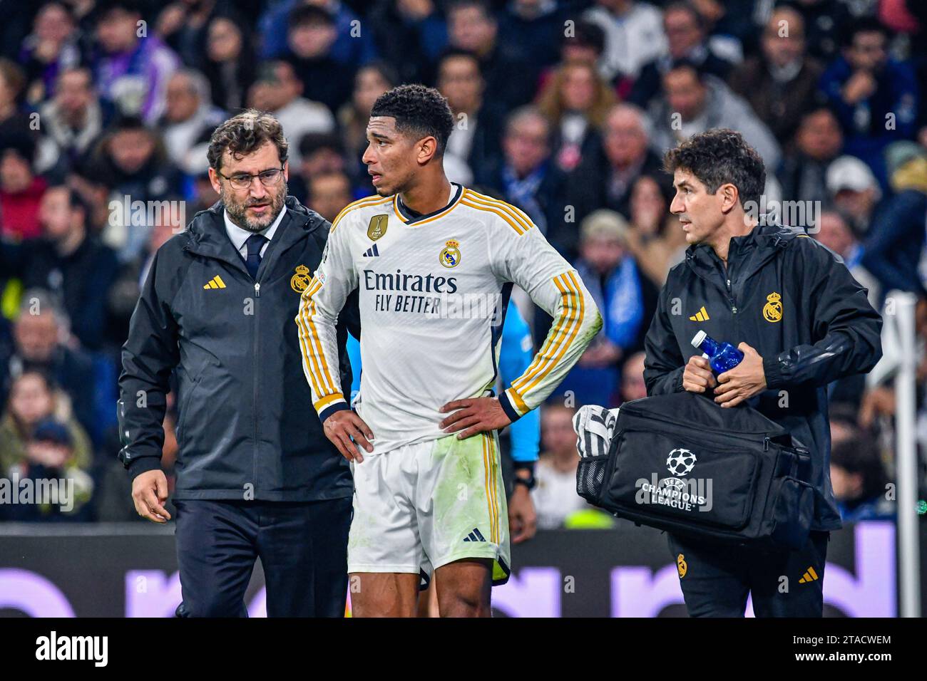 MADRID, ESPAGNE - 29 NOVEMBRE : Jude Bellingham du Real Madrid CF attend de participer au match entre le Real Madrid CF et la SSC Napoles de l'UEFA Champions League le 29 novembre 2023 à Santiago Bernabeu à Madrid, Espagne. (Samuel Carreño/Pximages) crédit : PX Images/Alamy Live News Banque D'Images