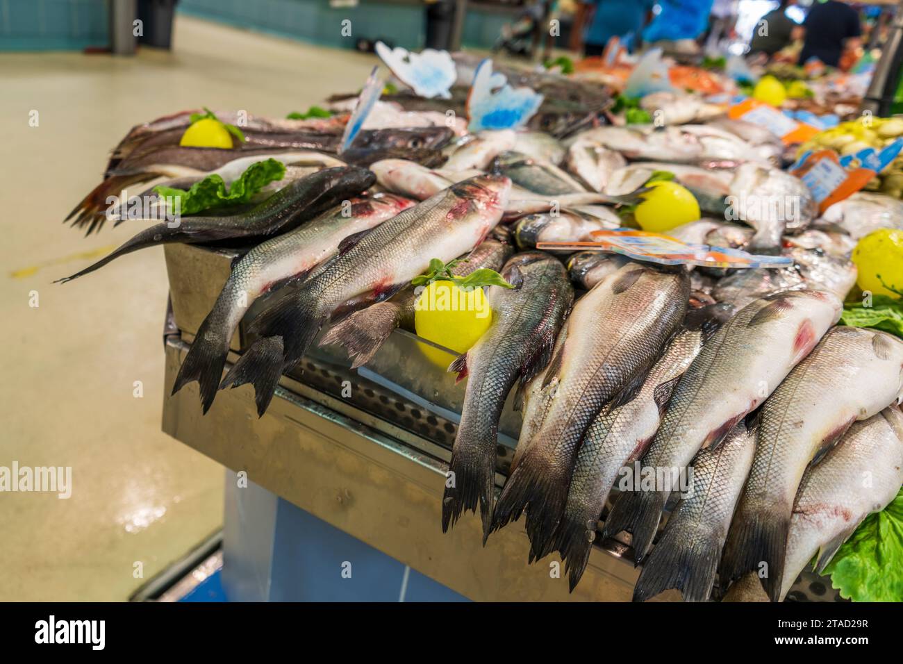Stand de poisson au marché de la ville locale avec de la nourriture savoureuse Banque D'Images