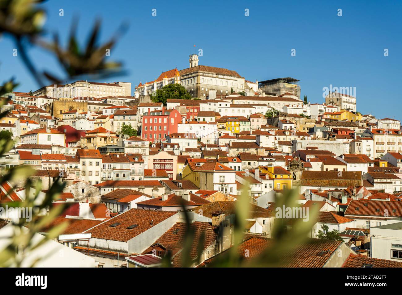 Belle vue sur la ville d'en haut, Coimbra Banque D'Images