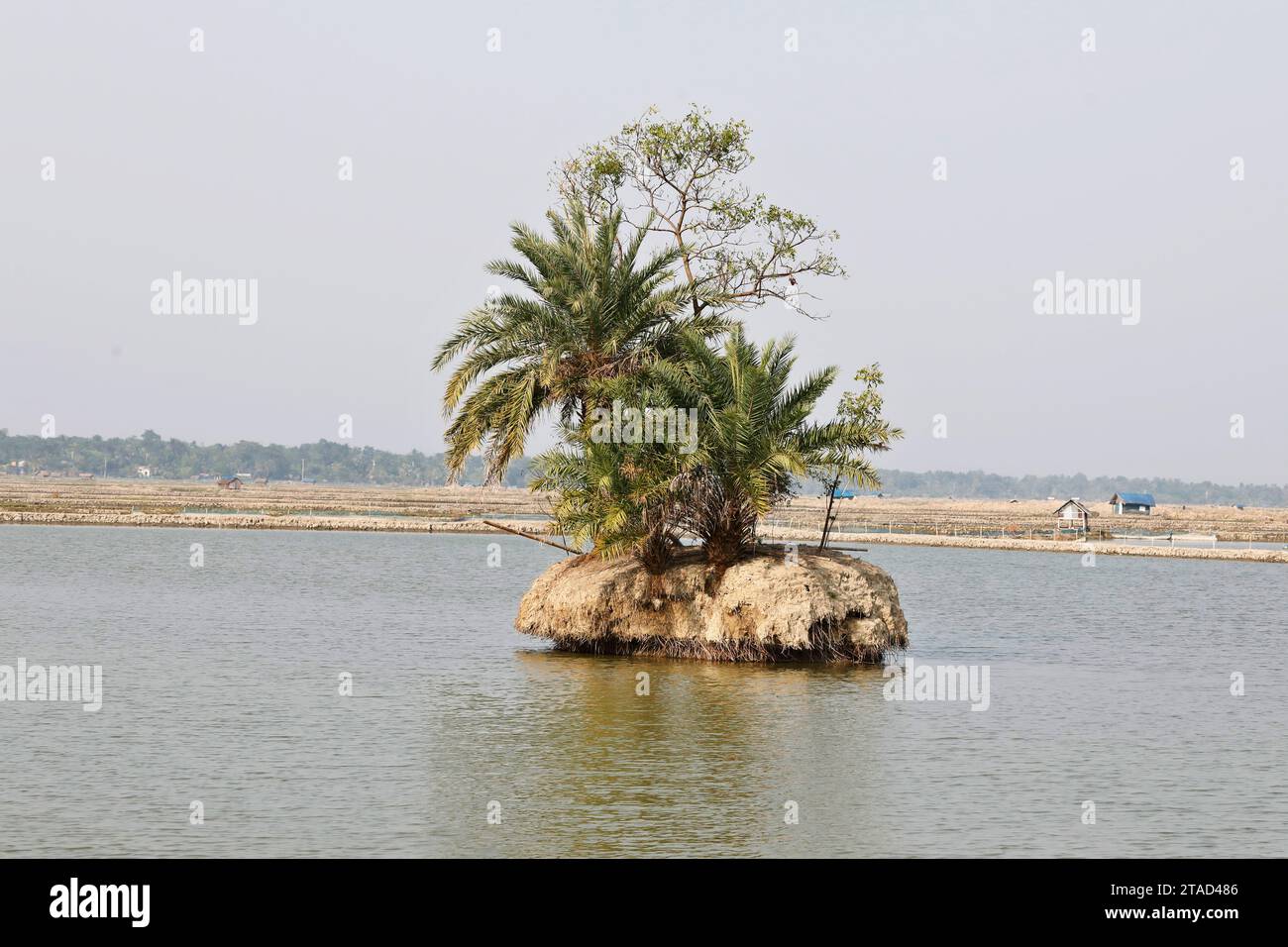 Khulna, Bangladesh - 24 novembre 2023 : ferme piscicole vue d'en haut dans la zone côtière de Koyra à Khulna. La plupart des poissons dans cette région sont e Banque D'Images