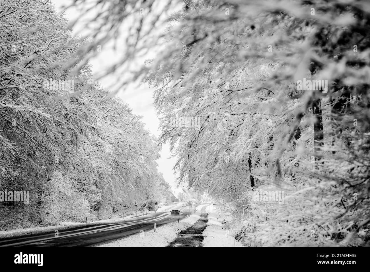 Neige à la périphérie de Nykoebing Falster, Zélande, Danemark, jeudi 30 novembre, 2023 Banque D'Images