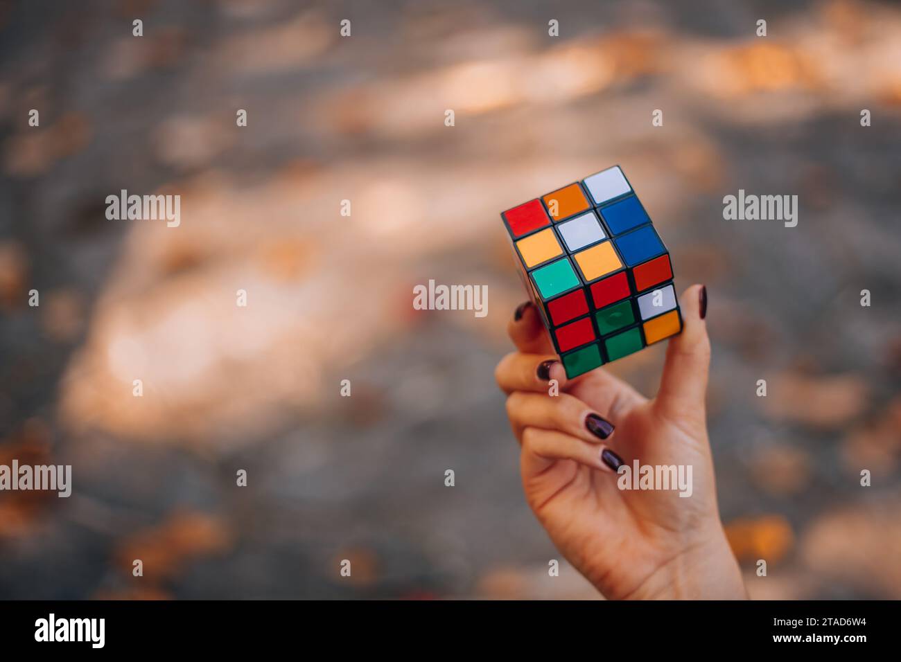 Italia, Milano 15.11.2023 : fille tenant un cube Rubik dans sa main. Femme d'affaires à la recherche d'une solution à un puzzle. Rebus, puzzle. Concept de Banque D'Images