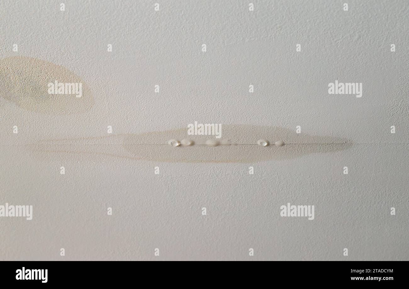L'eau fuit du plafond de cloison sèche dans la pièce de la maison, dommages d'eau. De l'eau s'égouttant de la fissure. Banque D'Images