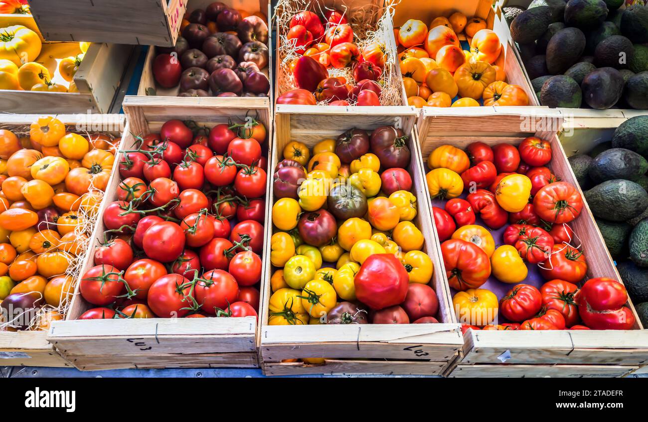 Vue de différentes variétés de tomates en petites caisses sur un étal d'un marché provençal Banque D'Images