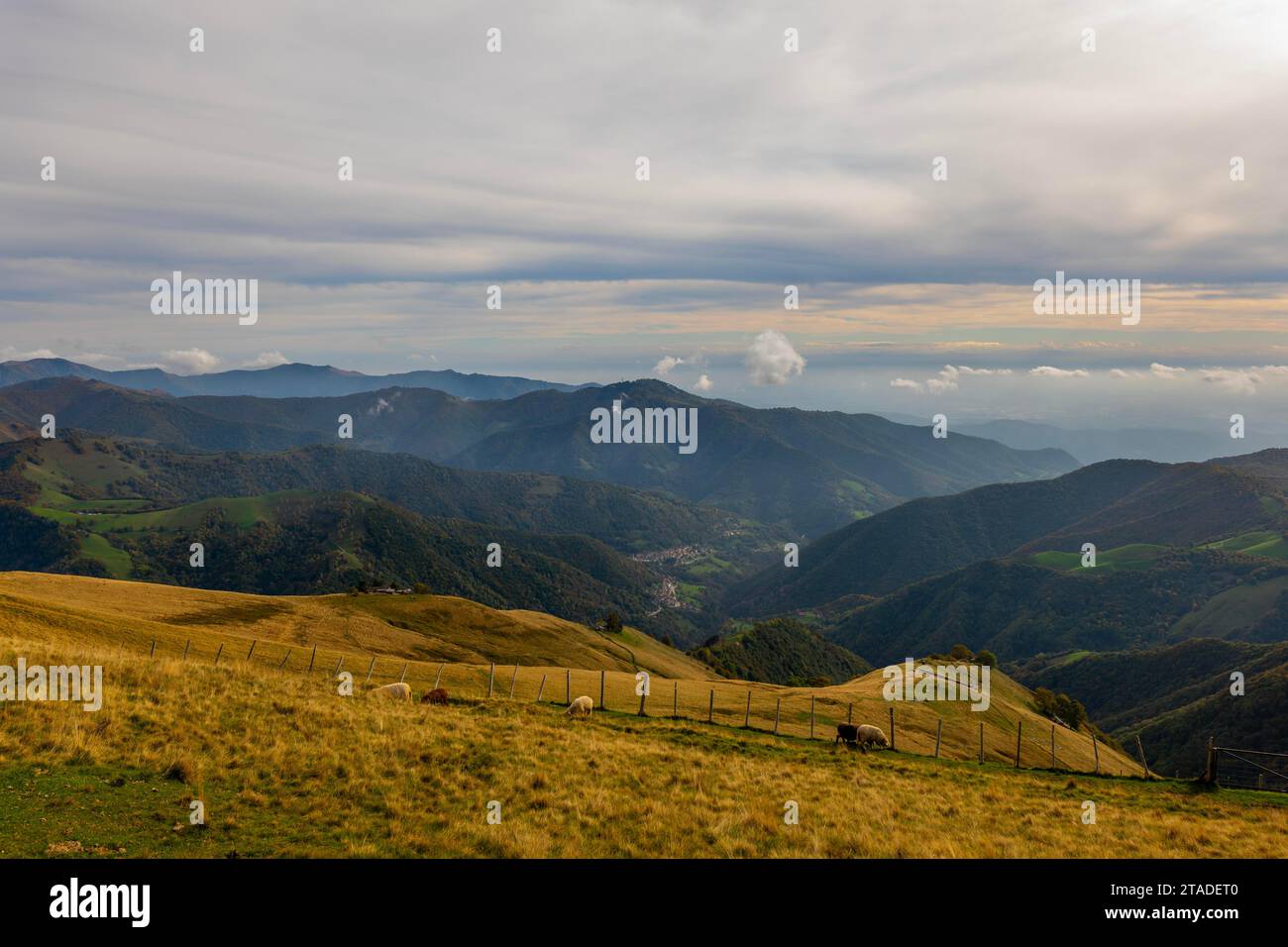 Vue sur le magnifique paysage montagneux avec des nuages et des moutons dans une journée ensoleillée dans la vallée du Muggio au Tessin, Suisse Banque D'Images