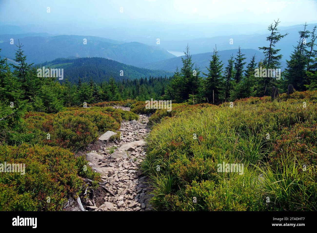 Beskydy morave-silésien, Moravskoslezsky kraj, République tchèque Banque D'Images