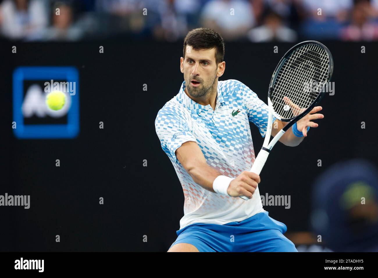 Novak Djokovic, Australian Open 2023, Melbourne Park, Melbourne, Victoria australien Banque D'Images