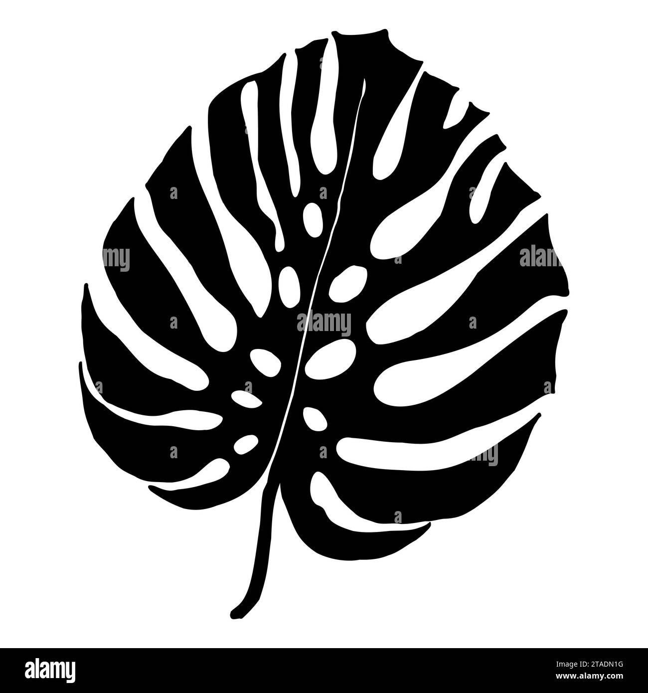 Feuilles tropicales de Monstera, élément de conception de verdure feuilles de Monstera, plante de jungle. Silhouette de feuille de monstera pour logo ou carte, scrapbook design. Vecto Illustration de Vecteur