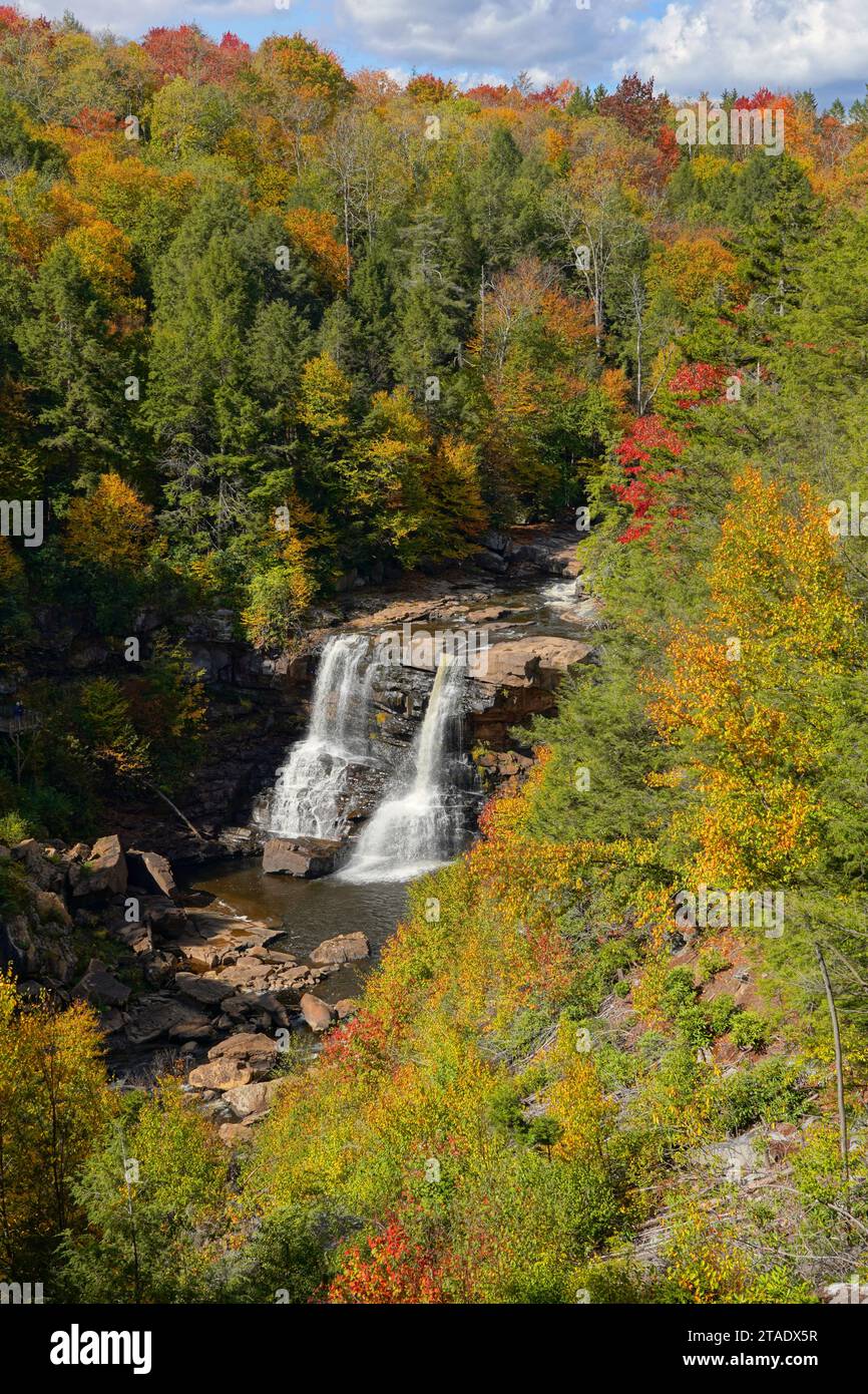 Couleur d'automne dans Blackwater Falls State Park Banque D'Images