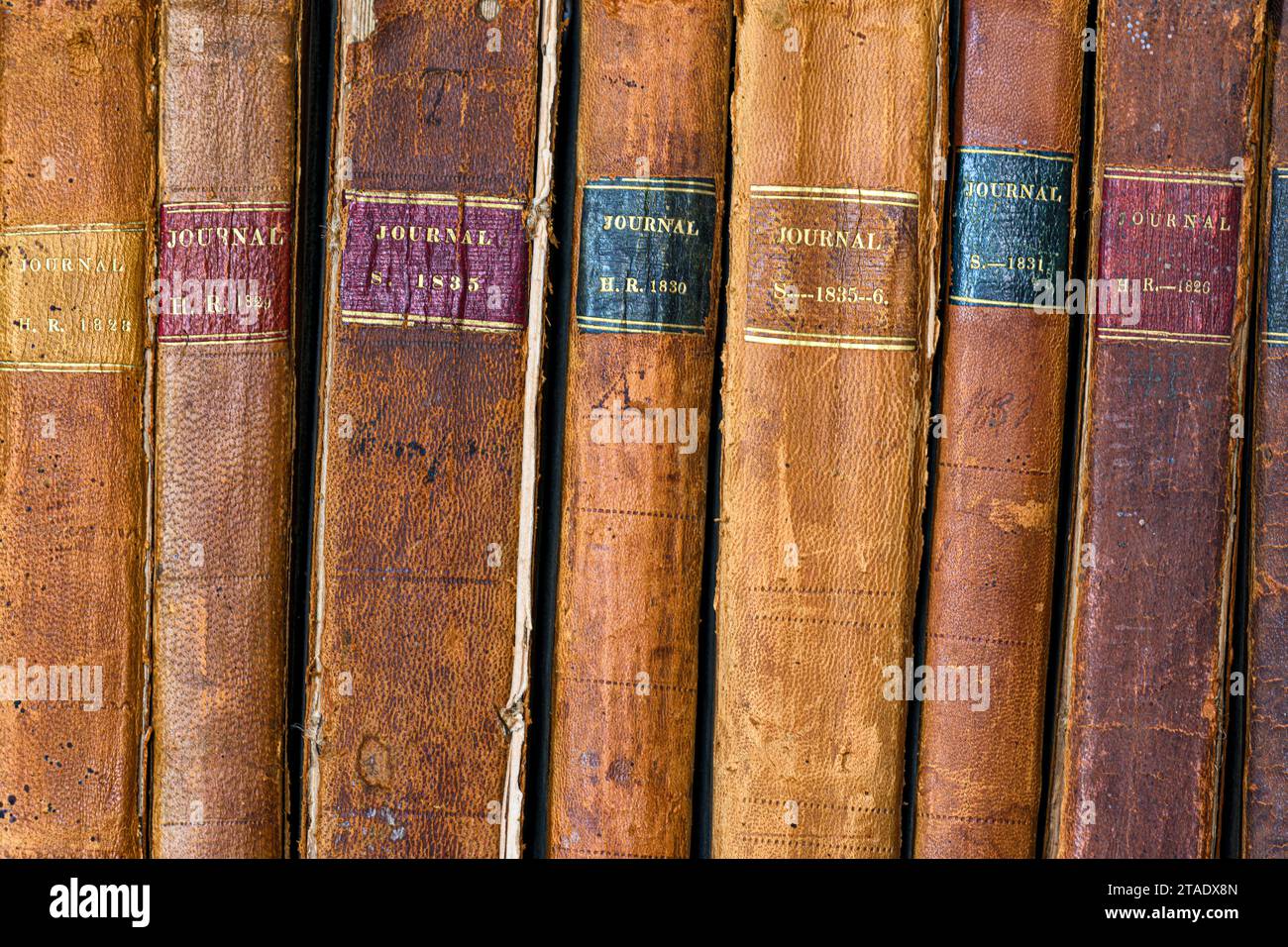 LOD livres de droit dans la bibliothèque de droit de l'ancien Capitole de l'État au 300 W Broadway Street à Frankfort, Kentucky Banque D'Images