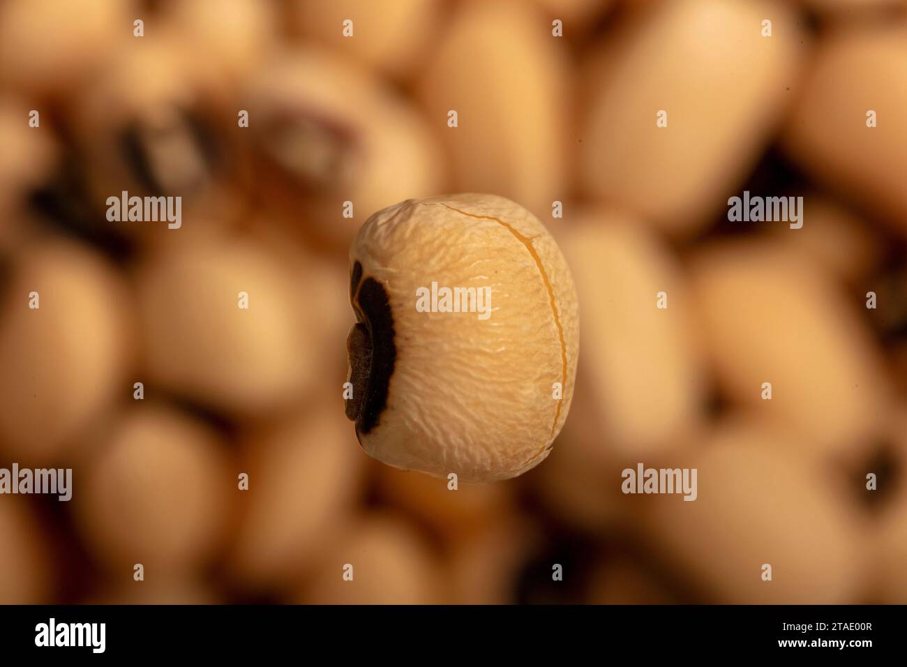 Gros plan sur la nature morte des pois à yeux noirs d'importance commerciale. Affiche prête Banque D'Images