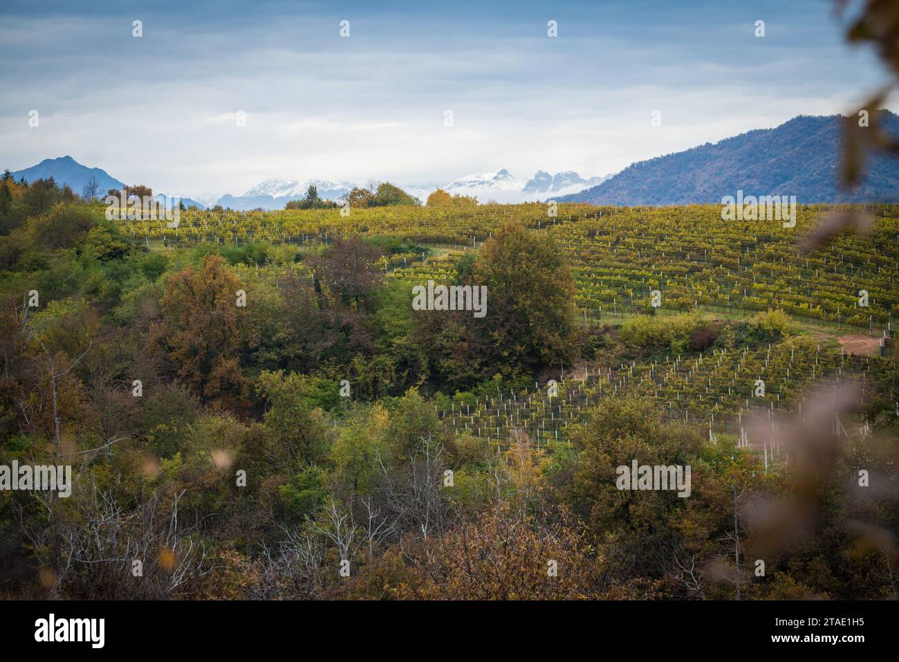 Rive Rosse, Paysage, Roasio, Biella, Piemonte, Italie Banque D'Images