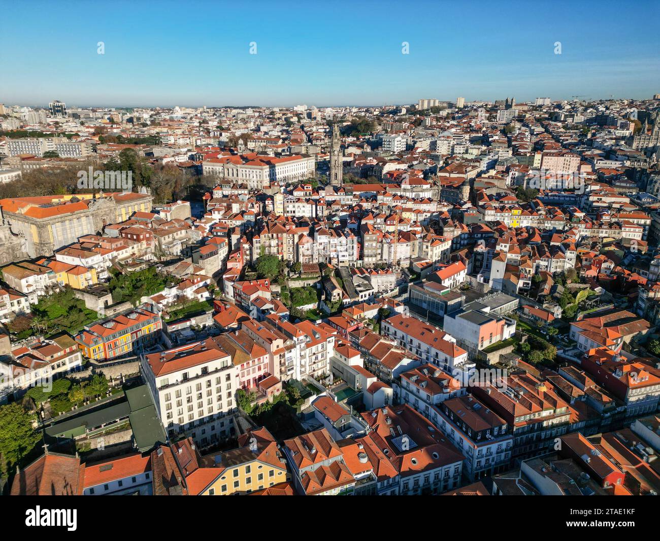Un vaste paysage urbain métropolitain avec la Tour Clerigos et les toits de tuiles rouges vibrants au Portugal, Porto Banque D'Images