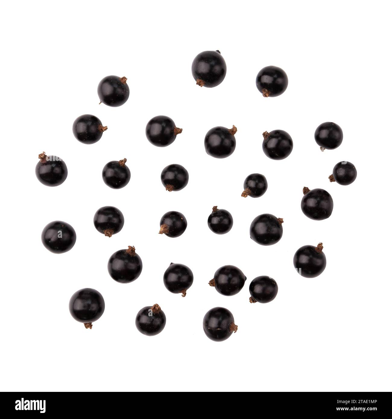 tas de baies de cassis isolé sur fond blanc avec chemin de détourage, vue de dessus Banque D'Images