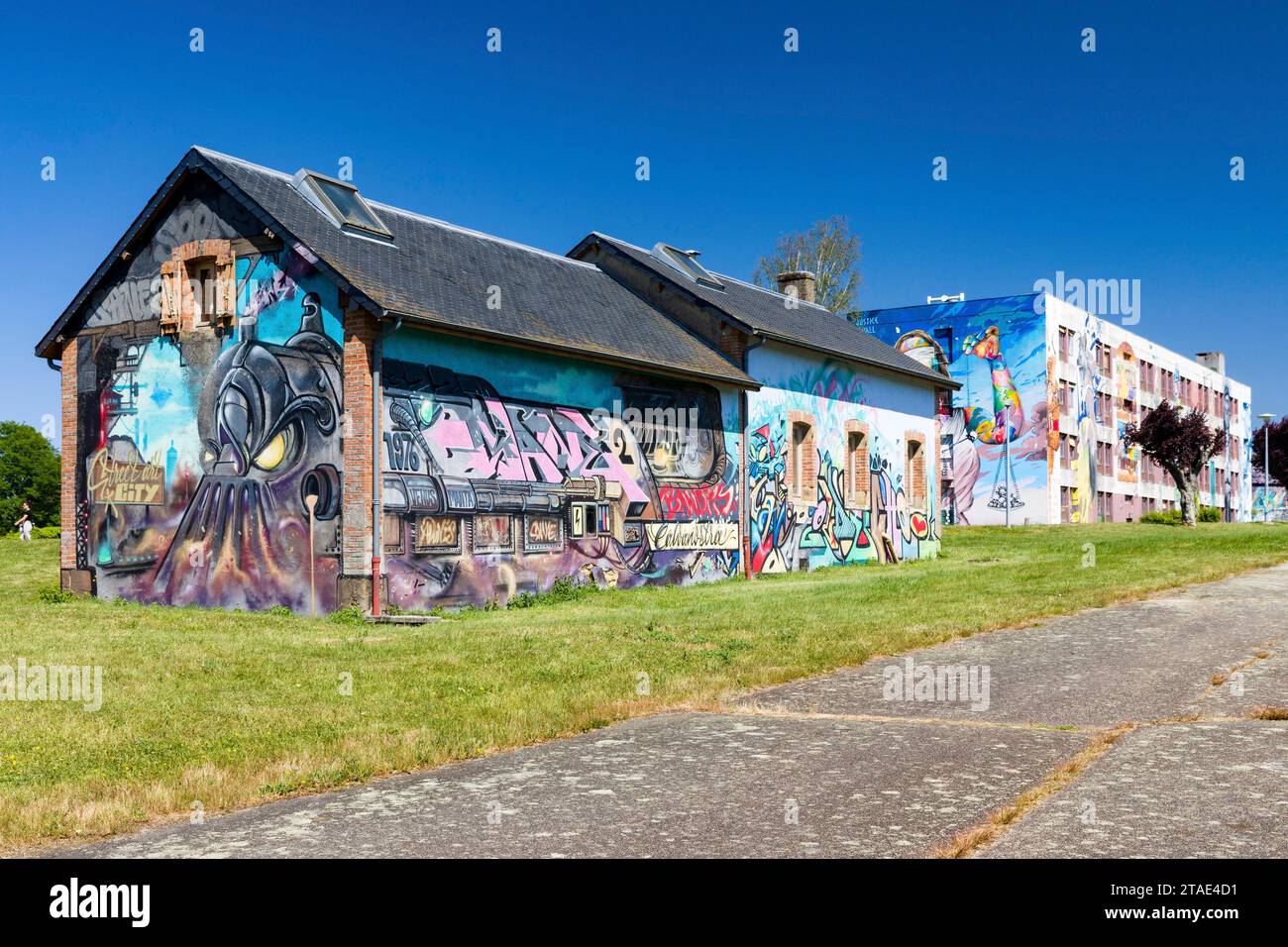 France, Allier, Lurcy-Lévis, Street Art City, cet ancien centre de formation de France Télécom est devenu une résidence artistique dédiée à l’art pictural urbain, œuvre de Sane2 très active dans le monde du tatouage Banque D'Images