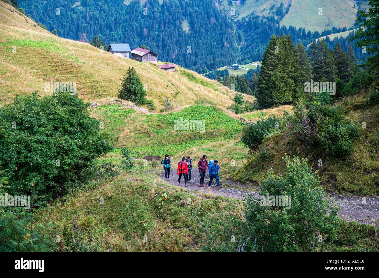 France, haute-Savoie (74), massif du Chablais, montagnes du Giffre, Sixt-fer-à-Cheval, randonneurs marchant vers le Col de Coux depuis le refuge Golèse (1662m) Banque D'Images
