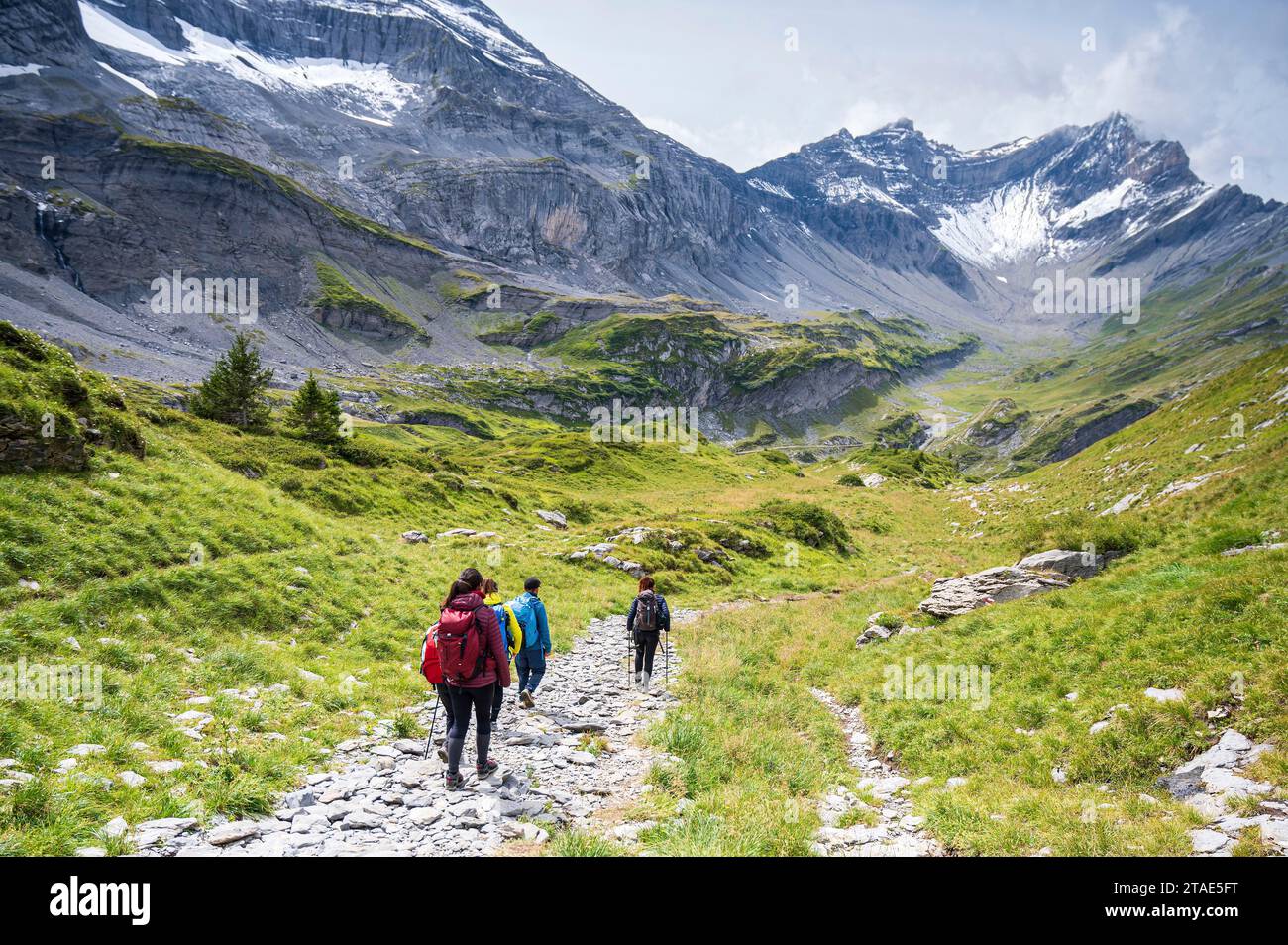 Suisse, Valais, Champéry, Tour des dents blanches, randonneurs marchant vers la Tête des Ottans, en arrière-plan vous pouvez voir la Dent de Barme (2759m) et la Dent de Bonavo (2503m) Banque D'Images