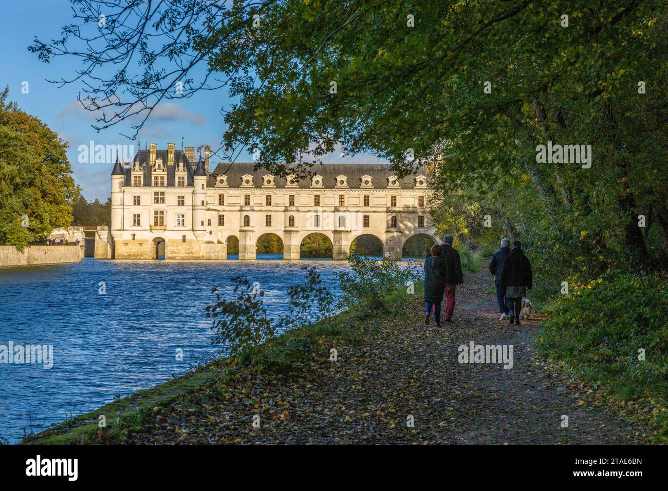 France, Indre et Loire, vallée de la Loire classée au patrimoine mondial de l'UNESCO, Banque D'Images
