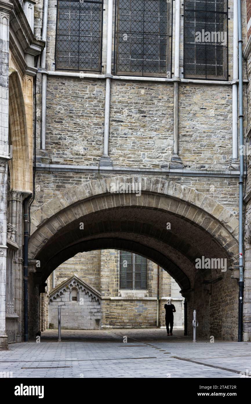 Belgique, Wallonie, province du Hainaut, Tournai, cathédrale notre-Dame de Tournai, classée au patrimoine mondial de l'UNESCO, place de l'Evêché Banque D'Images