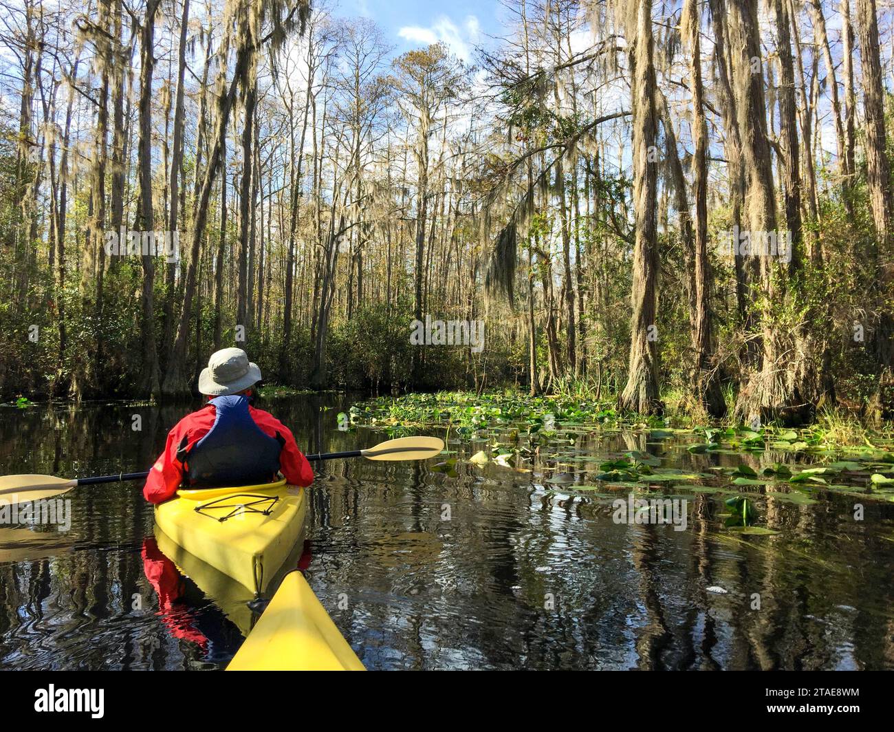 Les aînés actifs font du kayak dans le marais d'Okefenokee, le plus grand habitat de marais blackwater d'Amérique du Nord et abritent une faune diversifiée, y compris de nombreux alligators. Banque D'Images