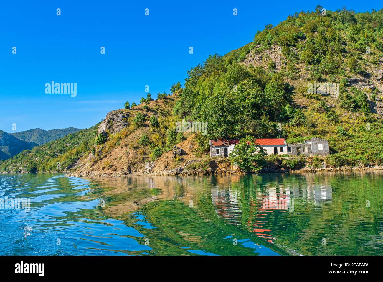 Albanie, province de Shkoder, Koman, lac Koman, lac artificiel sur la rivière Drin Banque D'Images