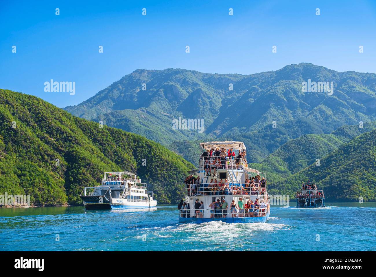 Albanie, province de Shkoder, Koman, lac Koman, lac artificiel sur la rivière Drin, traversée en ferry de Koman à Fierze Banque D'Images