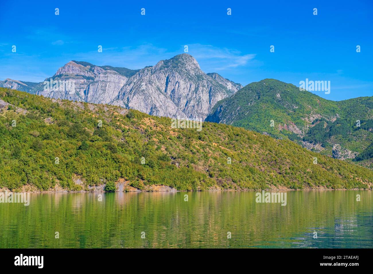 Albanie, province de Shkoder, Koman, lac Koman, lac artificiel sur la rivière Drin Banque D'Images