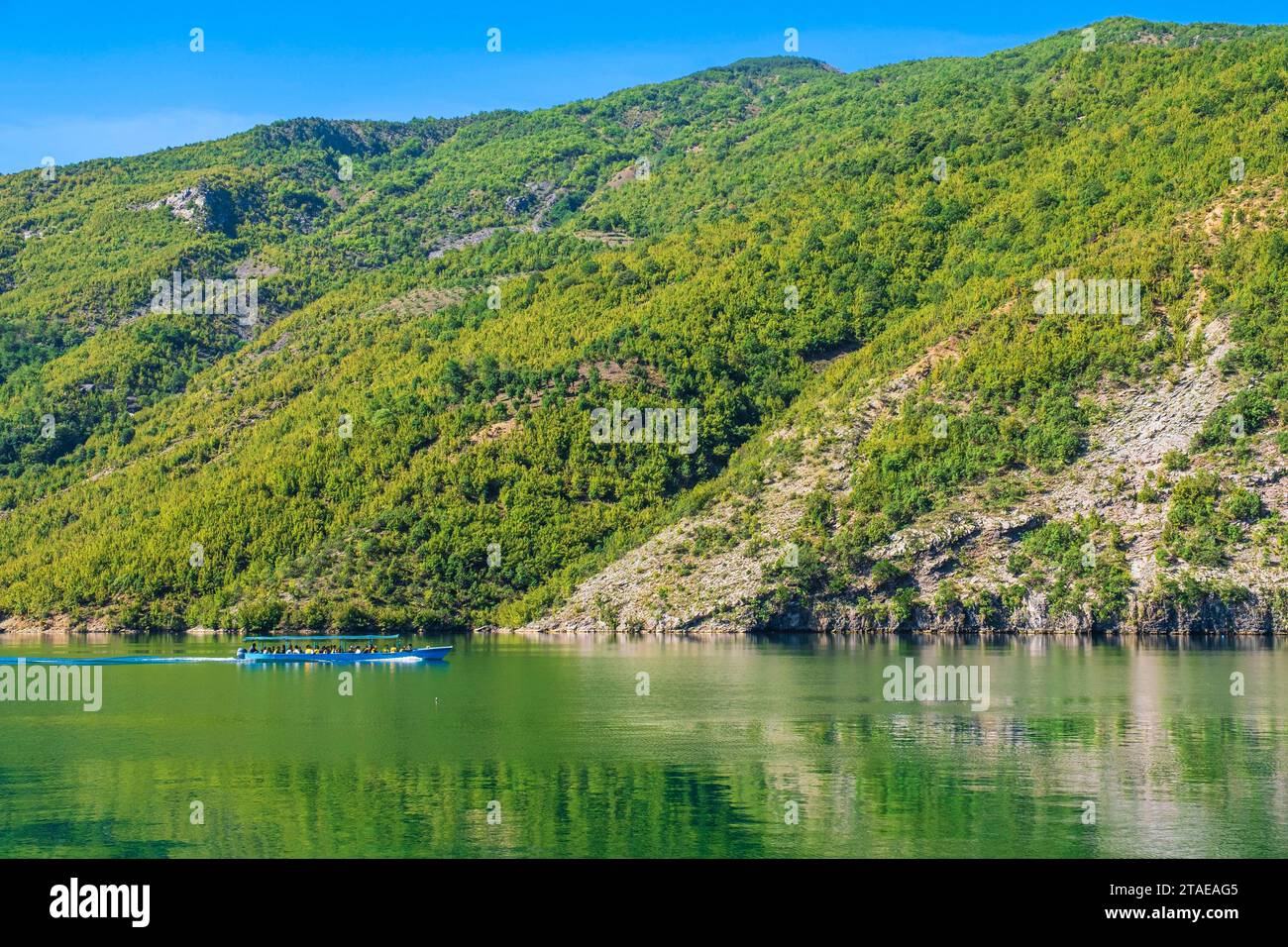 Albanie, province de Shkoder, Koman, lac Koman, lac artificiel sur la rivière Drin Banque D'Images