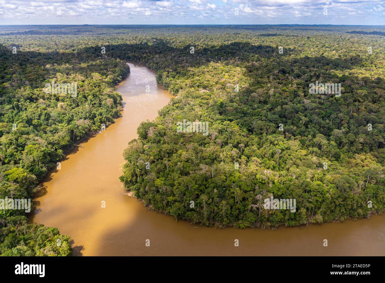 France, Guyane française, Saint-Laurent-du-Maroni, vue aérienne de la forêt amazonienne et du fleuve Mana (vue aérienne) Banque D'Images