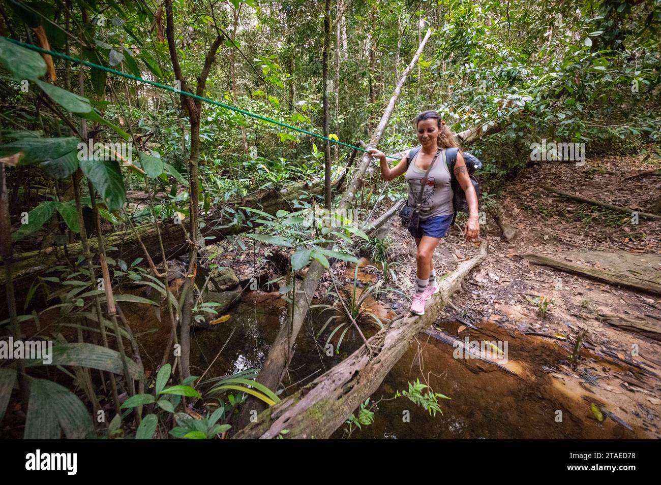 France, Guyane, Saint-Laurent-du-Maroni, traversée de rivière sur un arbre tombé, sur le sentier des chutes Voltaire Banque D'Images