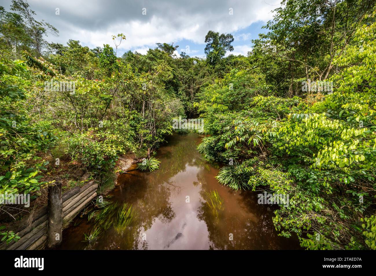 France, Guyane, Saint-Laurent-du-Maroni, sur la piste des chutes Voltaire, ici le fleuve Voltaire Banque D'Images
