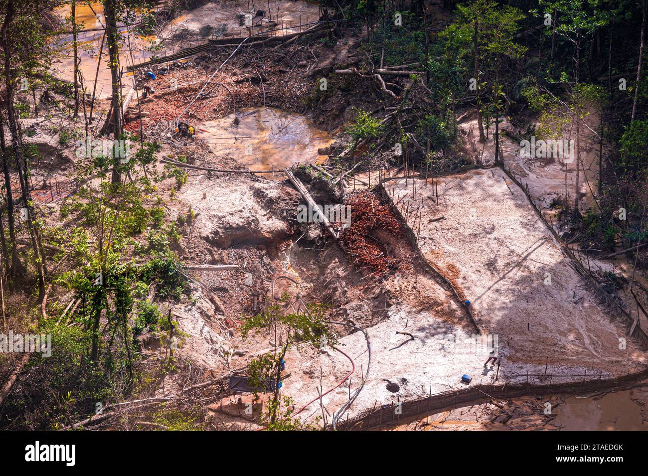France, Guyane française, Apatou, Nelson site illégal de pêche à l'or, ruisseau Nelson se jetant dans le fleuve Maroni, frontière naturelle avec le Suriname(vue aérienne) Banque D'Images