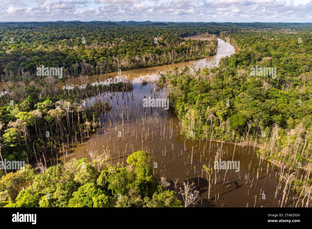Guyane française mana Banque de photographies et d’images à haute