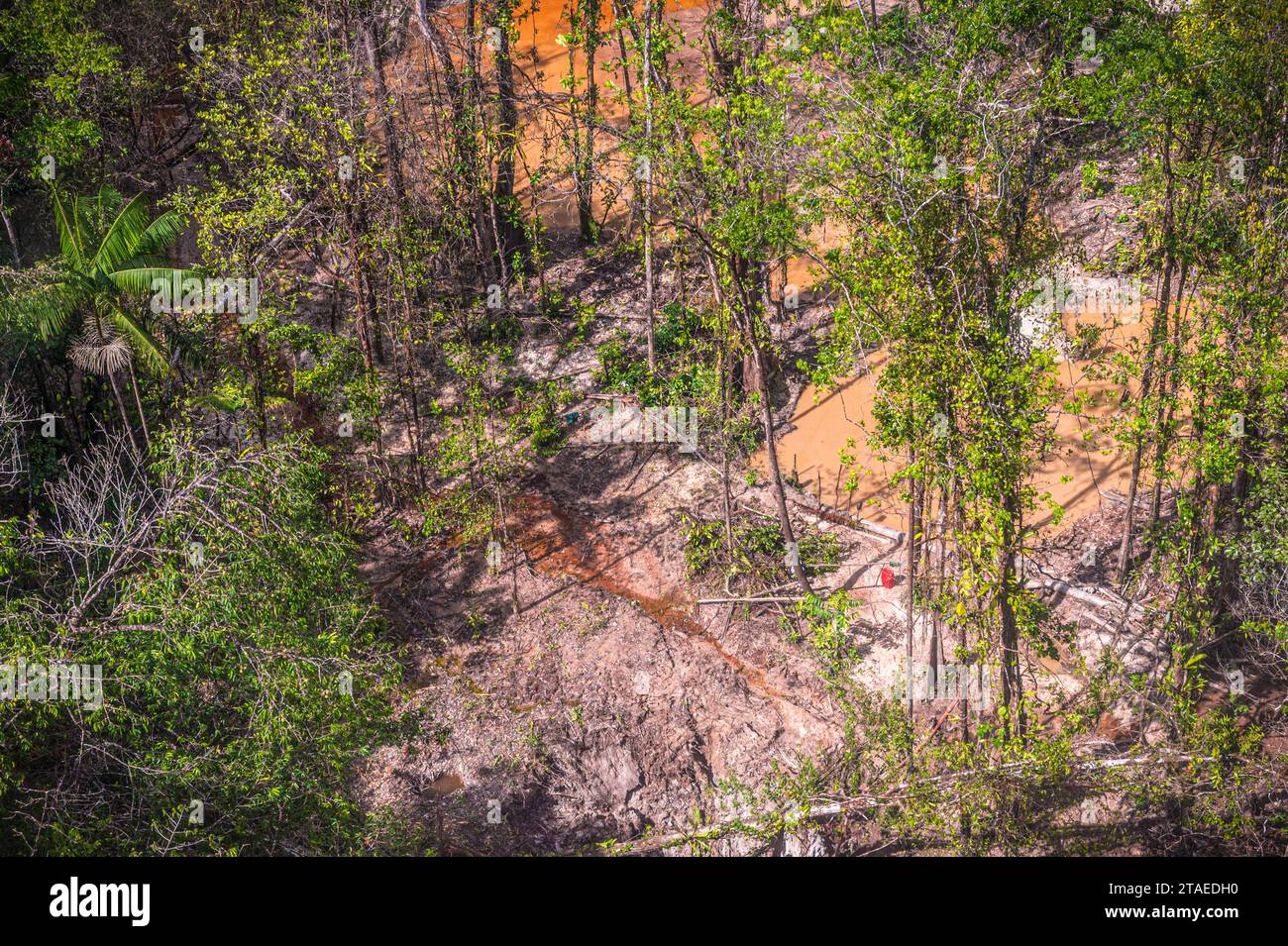 France, Guyane française, Apatou, Nelson site illégal de pêche à l'or, ruisseau Nelson se jetant dans le fleuve Maroni, frontière naturelle avec le Suriname(vue aérienne) Banque D'Images