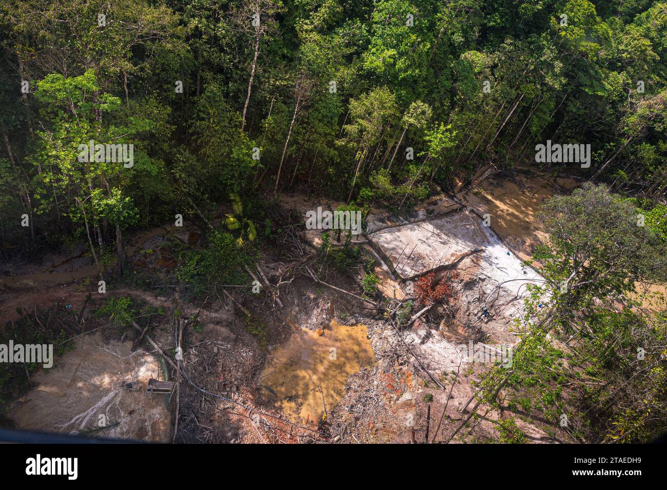 France, Guyane française, Apatou, Nelson site illégal de pêche à l'or, ruisseau Nelson se jetant dans le fleuve Maroni, frontière naturelle avec le Suriname(vue aérienne) Banque D'Images
