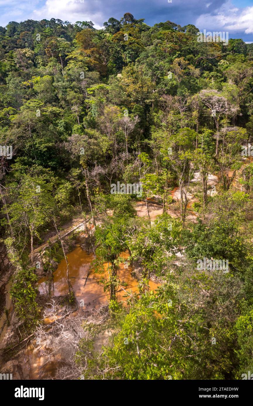 France, Guyane française, Apatou, Nelson site illégal de pêche à l'or, ruisseau Nelson se jetant dans le fleuve Maroni, frontière naturelle avec le Suriname(vue aérienne) Banque D'Images